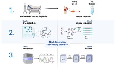 Whole-transcriptome sequencing identifies key differentially expressed circRNAs/lncRNAs/miRNAs/mRNAs and linked ceRNA networks in adult degenerative scoliosis
